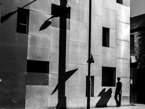 Noir Shadows